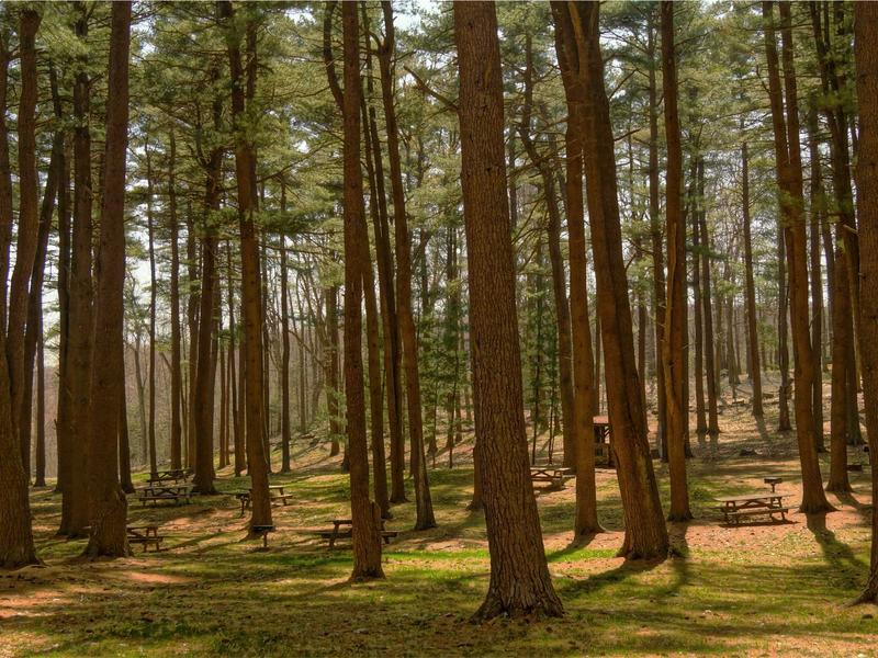 sudoku backup save screenshot 3